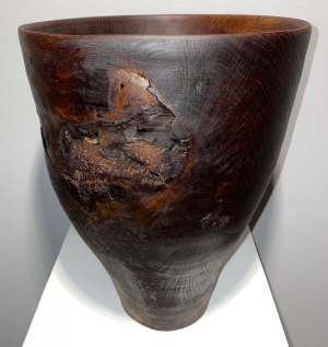 Oak Catechou